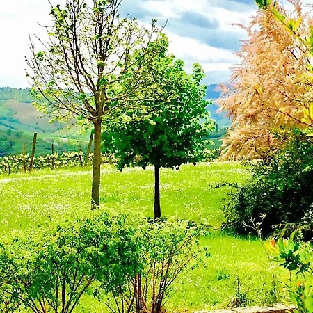 Bice Farm stay Urbisaglia